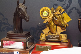 Awards 2015